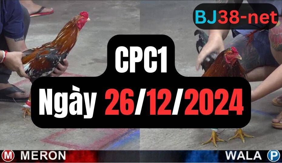 Đá gà thomo CPC1 | 26/12/2024