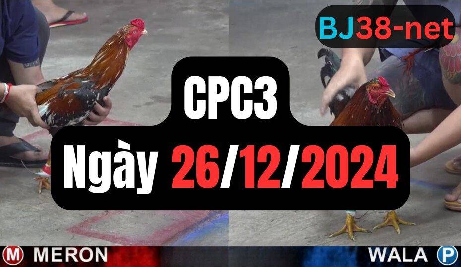 Đá gà thomo CPC3 | 26/12/2024