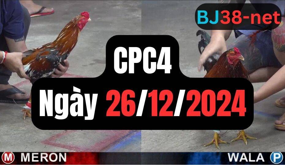 Đá gà thomo CPC4 | 26/12/2024